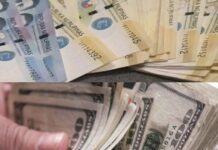 Remittances climb in May, fueling household spending and domestic growth