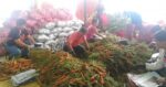 PCC finds four competition hurdles in vegetable trade PCC finds four competition hurdles in vegetable trade