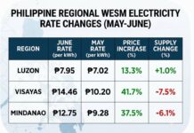 Spot market electricity prices jump more than 22% in June