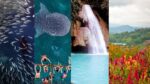 Cebu sees surge in interest from Vietnamese summer travellers Cebu sees surge in interest from Vietnamese summer travellers