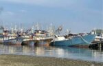Upgraded Sual Fish Port to boost Northern Luzon fisheries Upgraded Sual Fish Port to boost Northern Luzon fisheries