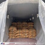 Davao del Norte cacao returns to export market after decade Davao del Norte cacao returns to export market after decade