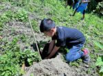 DENR shifts to seedling survival after record-breaking Arbor Day turnout DENR shifts to seedling survival after record-breaking Arbor Day turnout