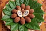 Scientists turn bitter seeds into diabetes hope Scientists turn bitter seeds into diabetes hope