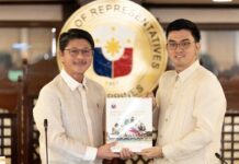 2027 budget targets recovery as economy slows