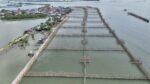 Pamarawan turns nature into a flood defense Pamarawan turns nature into a flood defense