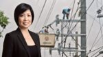 Power theft crackdown seen key to lower electricity costs Power theft crackdown seen key to lower electricity costs