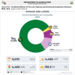 Agriculture storm damage hits P135M Agriculture storm damage hits P135M
