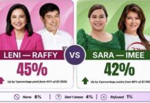 Robredo-Tulfo edges Duterte-Marcos in new poll