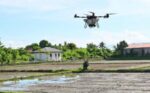 DA taps drones, AI to boost crop protection, food security DA taps drones, AI to boost crop protection, food security