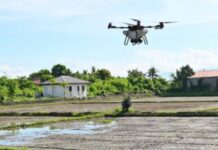 DA taps drones, AI to boost crop protection, food security