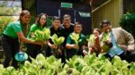 Grab brings Davao women farmers into digital marketplace Grab brings Davao women farmers into digital marketplace