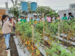 Jollibee Group Foundation, UPLB partner to boost smallholder farmers’ productivity, sustainability Jollibee Group Foundation, UPLB partner to boost smallholder farmers’ productivity, sustainability