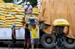 DA rules out rice import ban to secure buffer stocks amid El Nino threat DA rules out rice import ban to secure buffer stocks amid El Nino threat