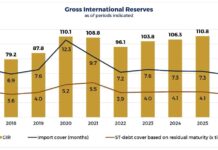 Philippines reserves hold above $100B in July
