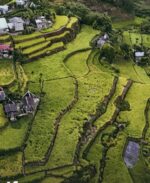 Ifugao terraces seek a future beyond preservation Ifugao terraces seek a future beyond preservation
