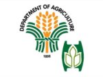 PCIC prepares P36M insurance payouts for farmers hit by recent storms, monsoon PCIC prepares P36M insurance payouts for farmers hit by recent storms, monsoon