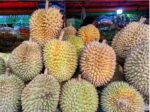 Davao durian shipped to Oman in new trial export Davao durian shipped to Oman in new trial export