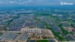 MTerra Solar starts commercial operations for 600 MW MTerra Solar starts commercial operations for 600 MW