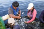 New fish farming technology launched in Western Visayas New fish farming technology launched in Western Visayas