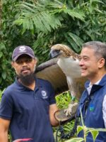 New initiative ties Philippine Eagle survival to forest protection and indigenous stewardship New initiative ties Philippine Eagle survival to forest protection and indigenous stewardship