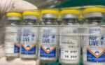 DA clears first ASF vaccine for commercial use, aiding swine recovery DA clears first ASF vaccine for commercial use, aiding swine recovery