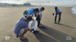 From poachers to protectors: Candon leads sea turtle conservation From poachers to protectors: Candon leads sea turtle conservation