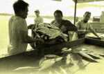 P3B fuel subsidy targets farmers, fishers, truckers P3B fuel subsidy targets farmers, fishers, truckers