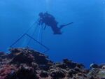 DENR deploys tech network to monitor El Niño DENR deploys tech network to monitor El Niño