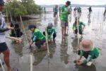 DENR ramps up watershed, forest protection to beat El Niño water crunch DENR ramps up watershed, forest protection to beat El Niño water crunch