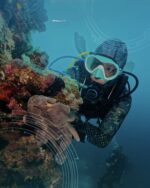 Philippines extends dive tourism reign with 8th straight Asia win Philippines extends dive tourism reign with 8th straight Asia win