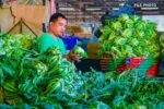 DA launches probe into smuggled vegetables DA launches probe into smuggled vegetables