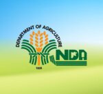 PH gets 1,419 pregnant dairy cattle from Australia to boost local milk output PH gets 1,419 pregnant dairy cattle from Australia to boost local milk output