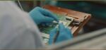Philippine electronics exports strengthen US supply chains amid weak peso Philippine electronics exports strengthen US supply chains amid weak peso