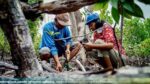 ADB warns Philippine farms, infrastructure face rising coastal flood risks ADB warns Philippine farms, infrastructure face rising coastal flood risks