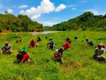 Nature‑based river restoration shields Ata‑Manobo lands in Davao del Norte Nature‑based river restoration shields Ata‑Manobo lands in Davao del Norte
