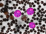Cancer cells under pressure: How crowding may stop spread Cancer cells under pressure: How crowding may stop spread